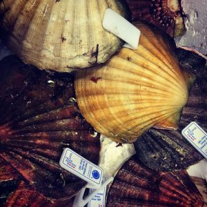 From Farm to Fine Dining: The Beauty of Seasonal Ingredients